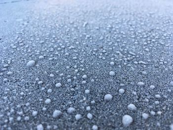 Close-up of snowflakes on snow