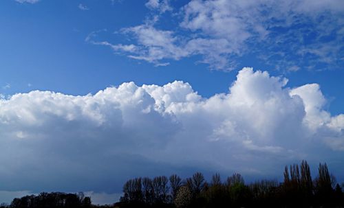 Low angle view of trees against cloudy sky