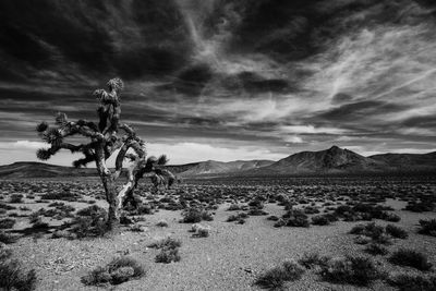 Scenic view of landscape against cloudy sky