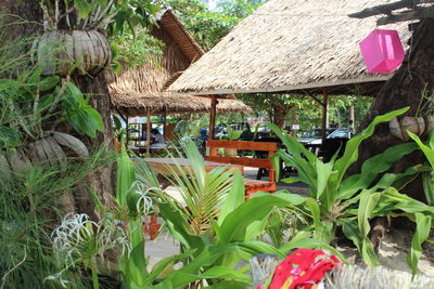 Plants and trees by gazebo at park