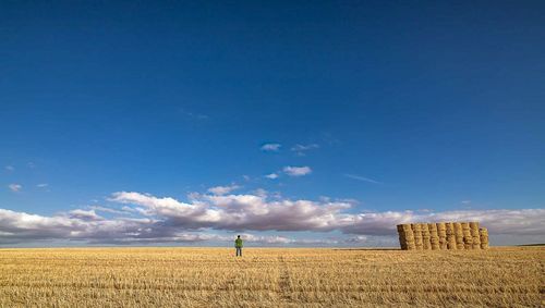 Scenic view of agricultural field against blue sky