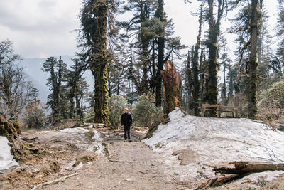 Man walking on land in forest during winter