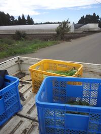 Lounge chairs against blue sky