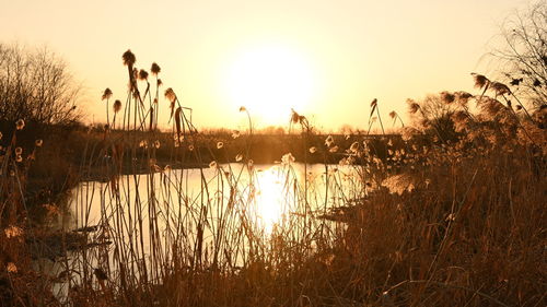 Scenic view of lake against sky during sunset