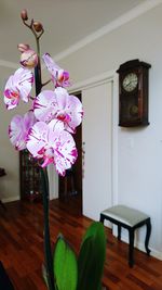 Close-up of pink flower vase on table at home