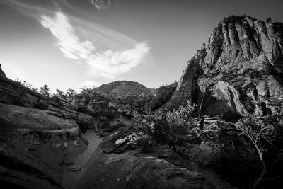 Trail at sunrise in the zion national park utah, usa