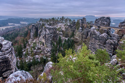View of plants growing on rock against sky