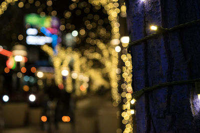 Defocused image of christmas lights hanging on tree