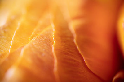 Full frame shot of ice cream