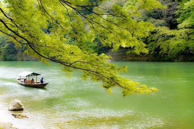 Boat sailing in sea