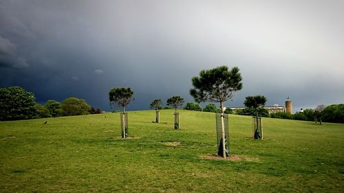 Scenic view of grassy field against sky