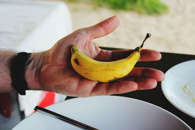 Close-up of hand holding fruit on table