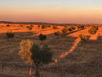 Scenic view of landscape against sky at sunset