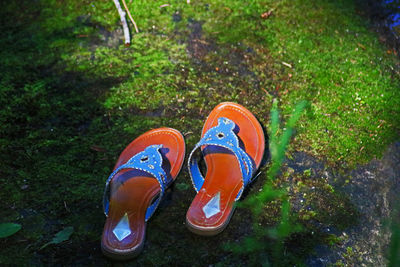 High angle view of shoes on grass