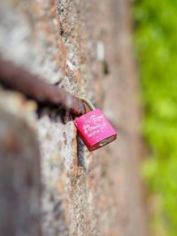 Close-up of love padlocks hanging on metal