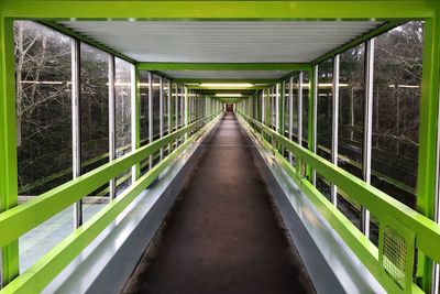 Narrow footbridge along plants