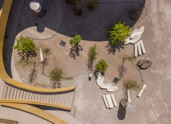 High angle view of potted plants on table against building