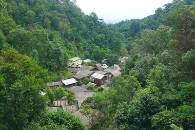 High angle view of trees and houses in forest