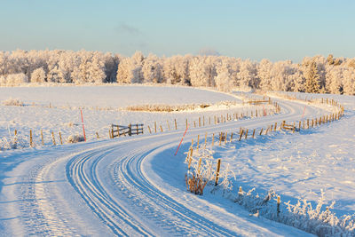 Snow covered field by trees against sky