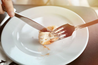 Close-up of hand holding ice cream in plate