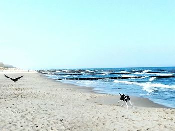 Scenic view of sea against clear sky