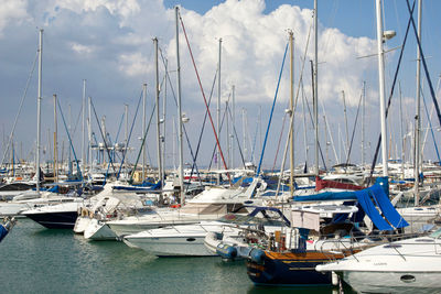 Sailboats moored in harbor