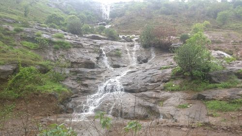 Scenic view of waterfall in forest