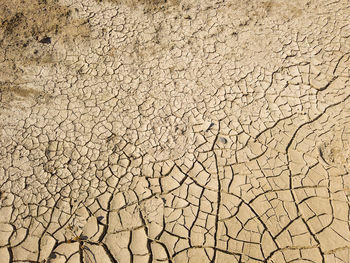 Full frame shot of cracked land