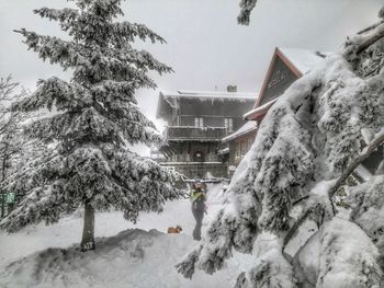 Trees by snow covered buildings against sky