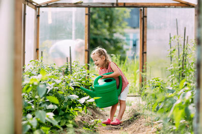 A cheerful baby with a watering can waters the plants in the greenhouse, helps to take care of them. 