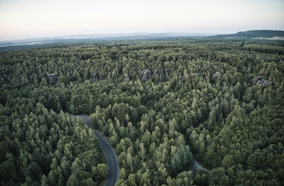 High angle view of trees on landscape against sky