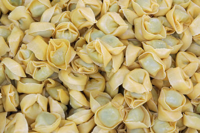 Home made tortelli a typical italian dish in spinach and cheese inside