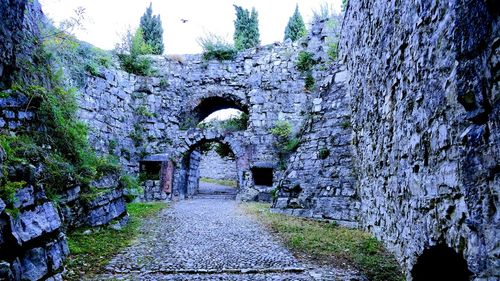 Old ruin amidst trees