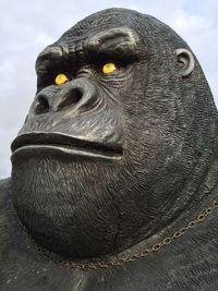 close-up