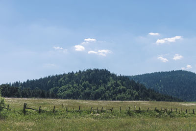 Scenic view of field against sky