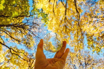 Low angle view of human hand holding autumn leaves