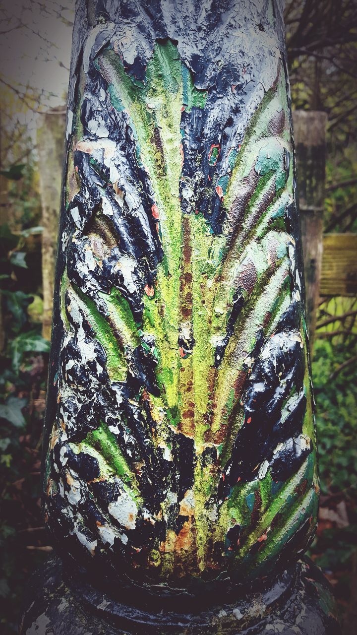 growth, leaf, plant, green color, close-up, nature, high angle view, no people, wall - building feature, potted plant, indoors, growing, day, pattern, green, ivy, textured, tree trunk, tree