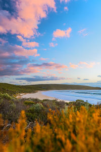 Scenic view of sea against sky