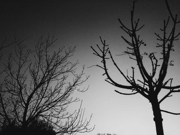 Low angle view of bare trees against sky