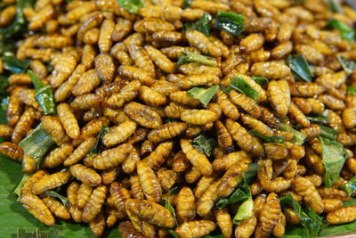 Full frame shot of fried seafood