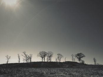 Bare trees on field against sky