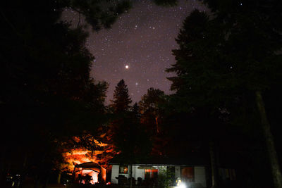 Low angle view of trees against sky at night