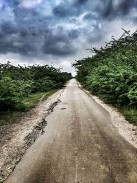 Road amidst trees against sky