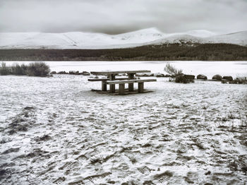 winter