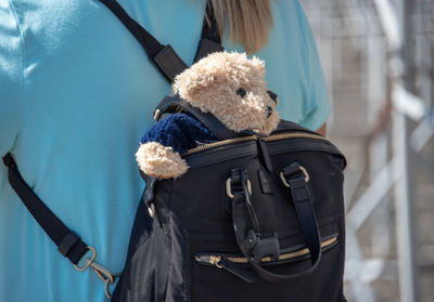 Rear view of woman holding toy in winter