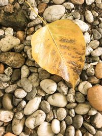 High angle view of stones