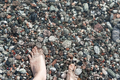 Female feet in sea water on  pebble shore top view in summer, many pebbles, copy space, relaxation