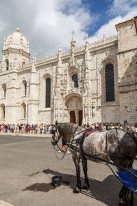 Horse cart on street against jerónimos monastery 