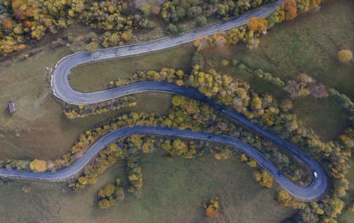 High angle view of road amidst trees