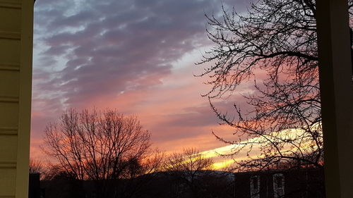 Low angle view of silhouette trees against sky at sunset